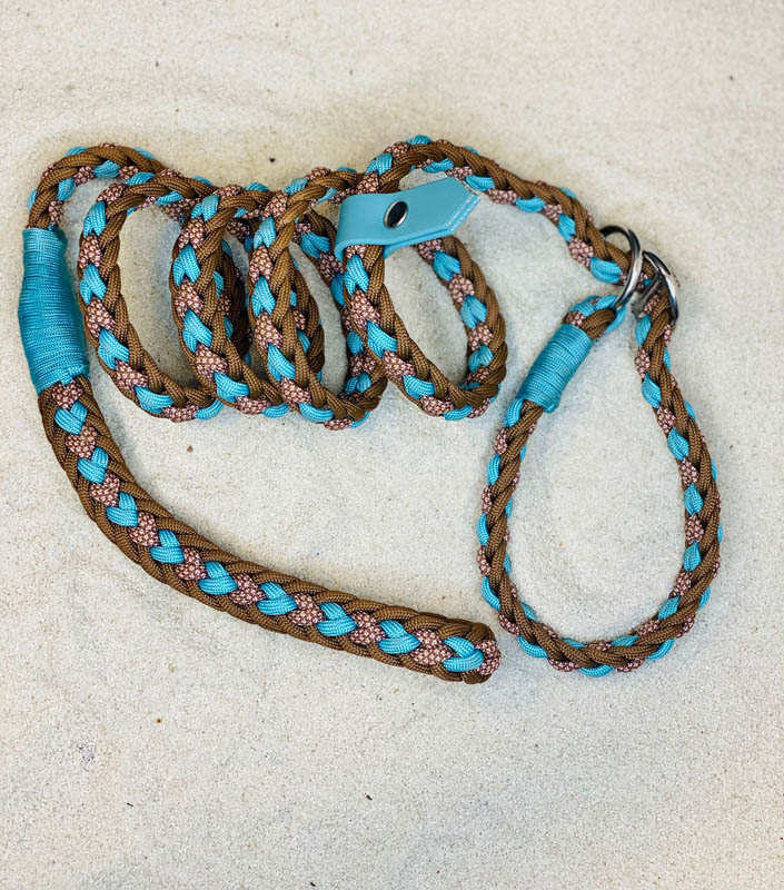 Guinzaglio Acquamarina Guinzaglio in paracord per cani”.