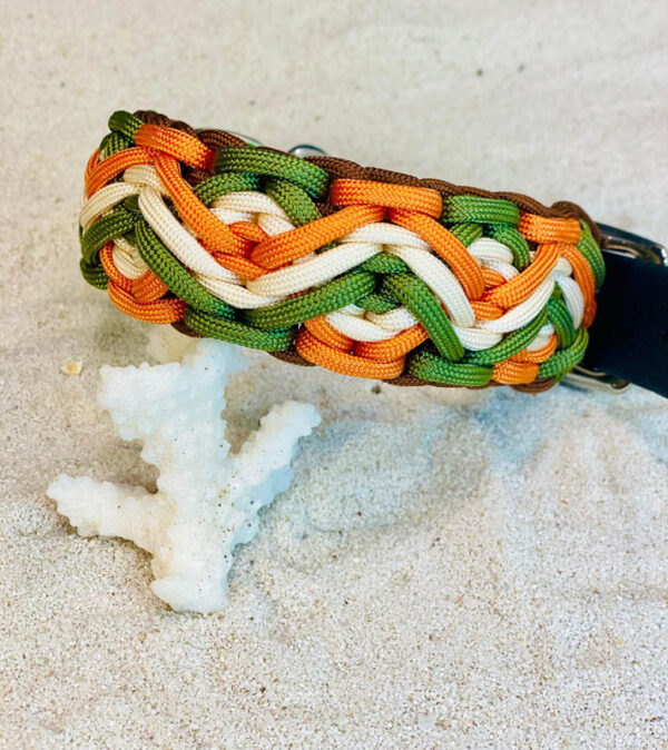 Safari Pop