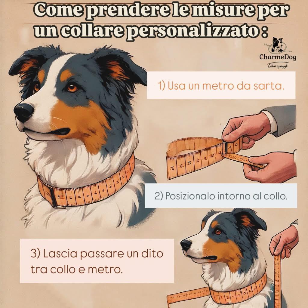 guida alle taglie collari cani