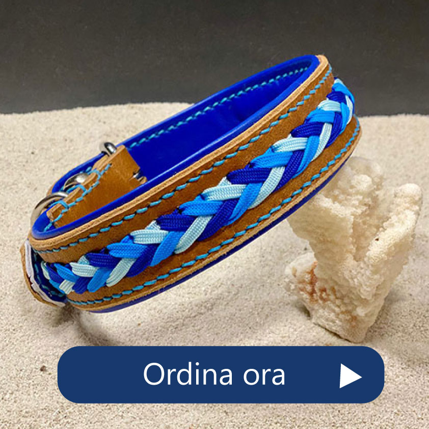 Guinzagli collari artigianali per cani Charmedog