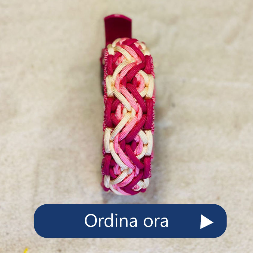 Guinzagli collari artigianali per cani Charmedog