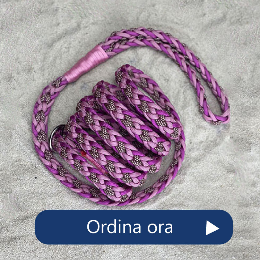 Guinzagli collari artigianali per cani Charmedog