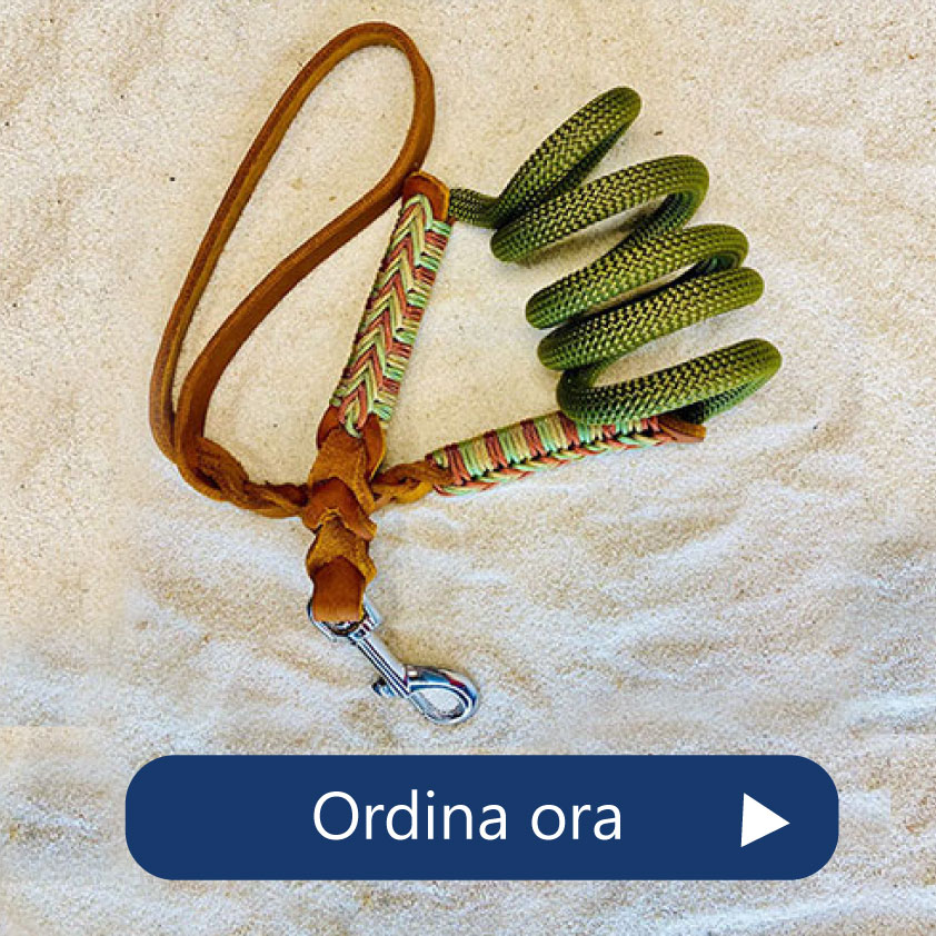 Guinzagli collari artigianali per cani Charmedog